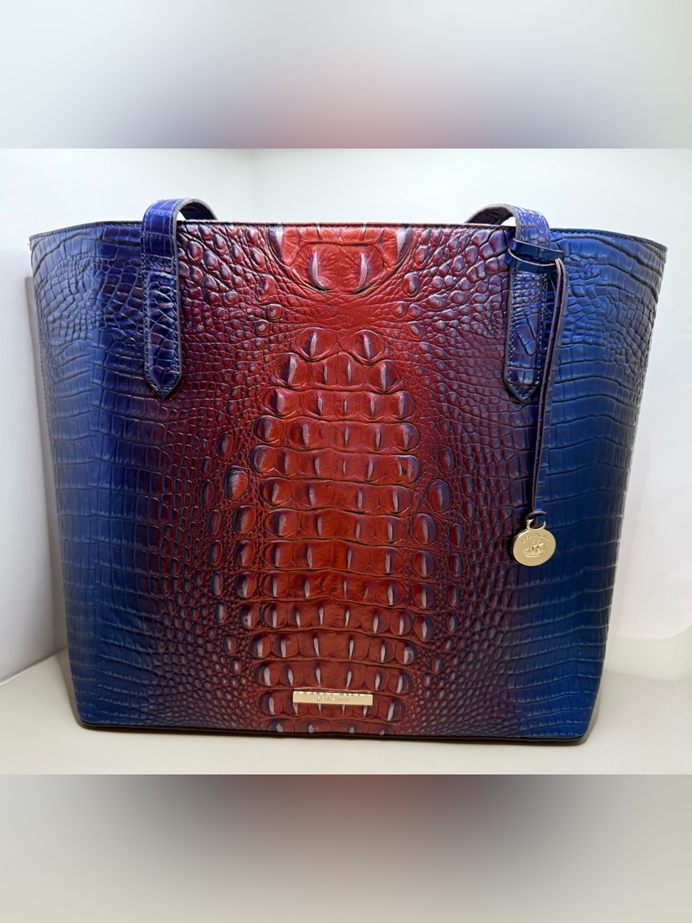 Brahmin Brook in Dawning Ombré